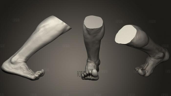Male Foot 4 stl model for CNC